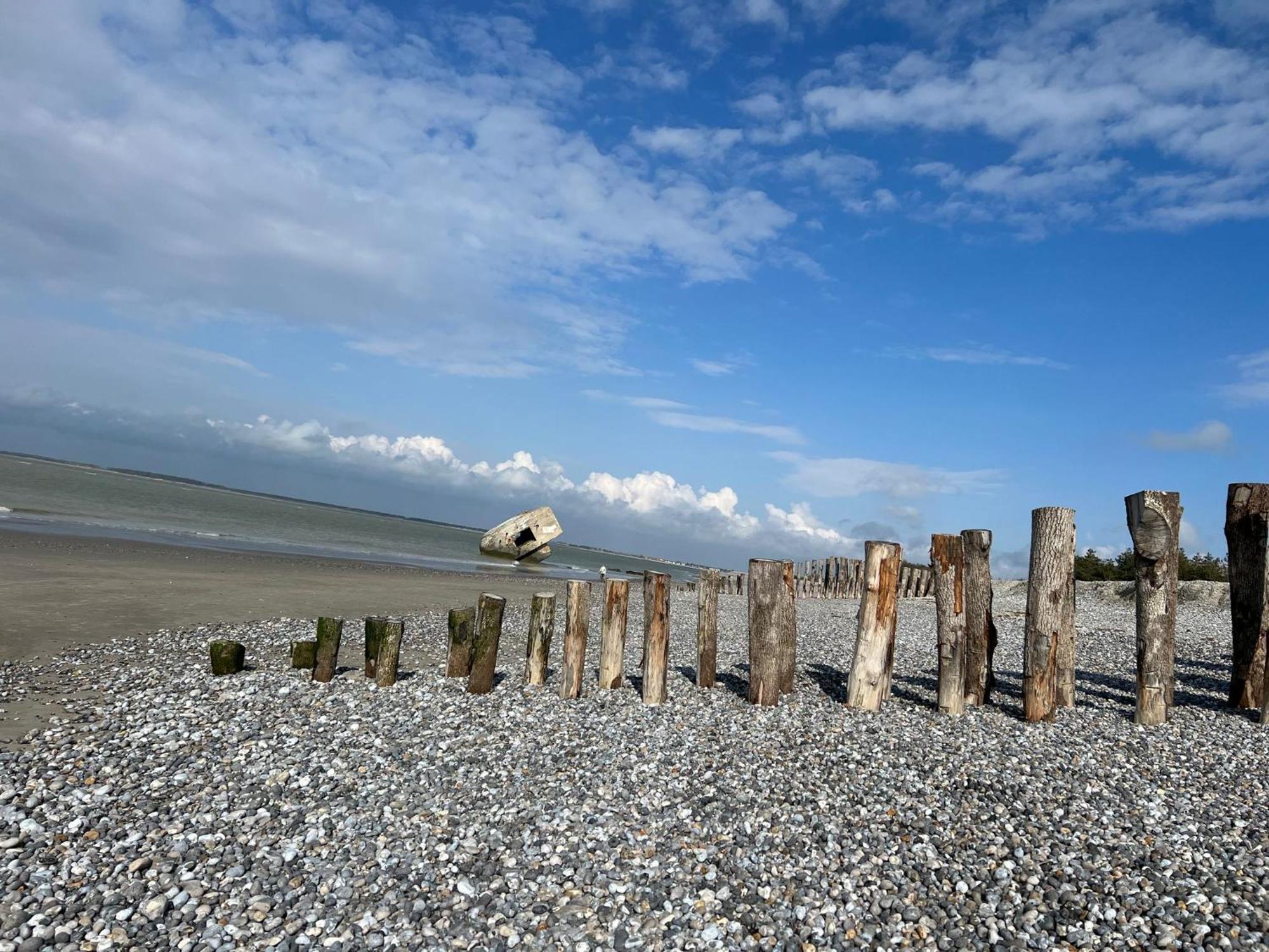 Plage A 50M Appartement Reves De Mer Villa Les Bains De Mers Экстерьер фото